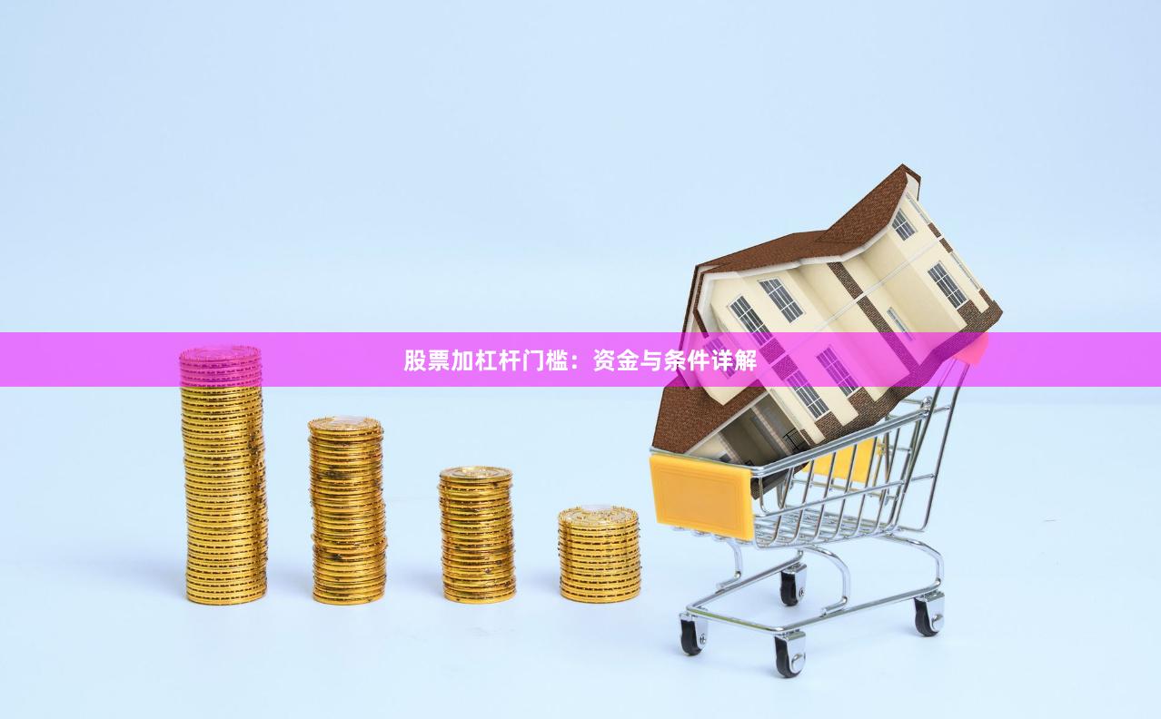 股票加杠杆门槛：资金与条件详解