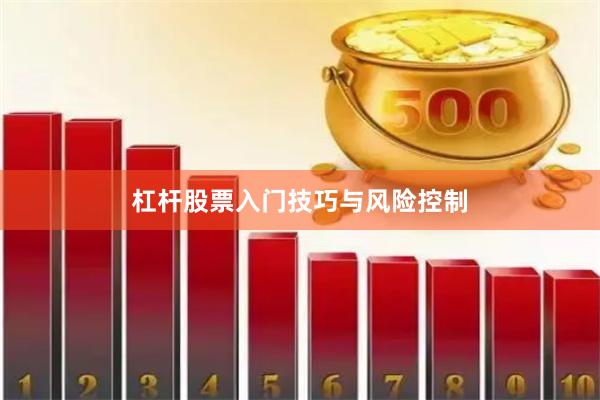 杠杆股票入门技巧与风险控制