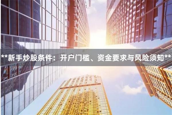 **新手炒股条件：开户门槛、资金要求与风险须知**